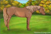 Horse Color:Red Roan