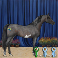 Horse Color:Brown Roan Tobiano 