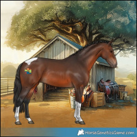 Horse Color:Brown Tobiano Rabicano 