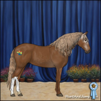 Horse Color:Gray Chestnut 