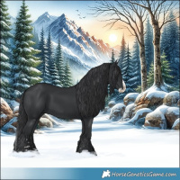 Horse Color:Black Splash 