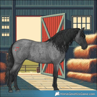 Horse Color:Blue Roan 