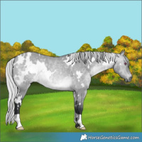 Horse Color:White Spotted Silver Brown Chinchilla Dun 