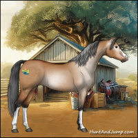 Horse Color:Gray Bay Dun 