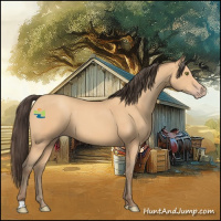 Horse Color:Amber Champagne 