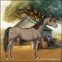 Horse Color:Classic Champagne 
