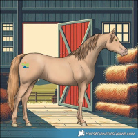 Horse Color:Gold Champagne 