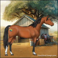 Horse Color:Bay Tobiano Rabicano