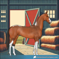 Horse Color:Bay Tobiano Rabicano 