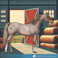 Horse Color:Red Roan Tobiano 