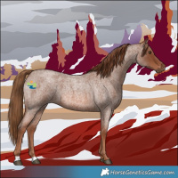 Horse Color:Red Roan 