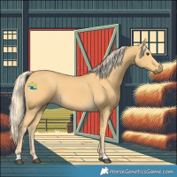 Horse Color:Palomino 