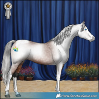 Horse Color:Gray Bay Splash Tobiano 