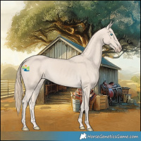 Horse Color:Smoky Creme 
