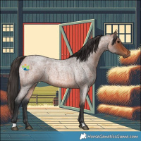 Horse Color:Bay Roan 