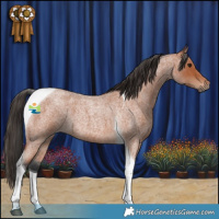 Horse Color:Bay Roan Tobiano 