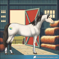 Horse Color:Buckskin Roan Dun Tobiano 