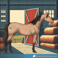 Horse Color:Bay Dun