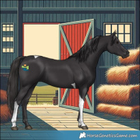 Horse Color:Smoky Black Tobiano 