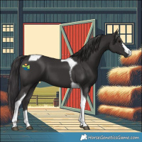 Horse Color:Smoky Black Tobiano