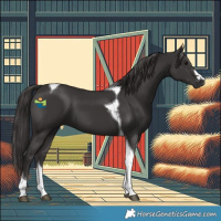Horse Color:Smoky Black Tobiano 