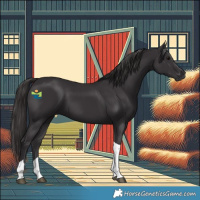 Horse Color:Smoky Black Tobiano 