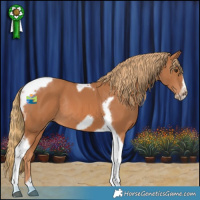 Horse Color:Chestnut Tobiano Frame Rabicano 