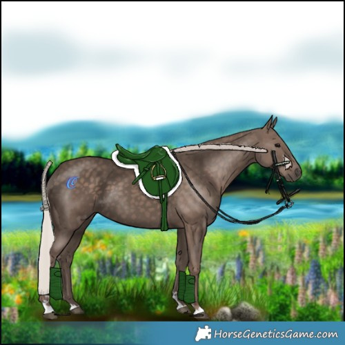 Horse Color:Silver Black 