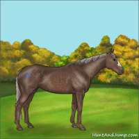 Horse Color:Silver Black 