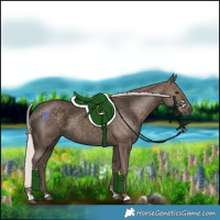 Horse Color:Silver Black 