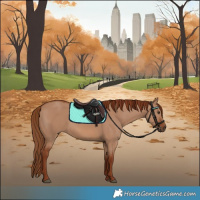 Horse Color:Red Dun 