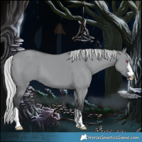 Horse Color:Silver Grullo Chinchilla 