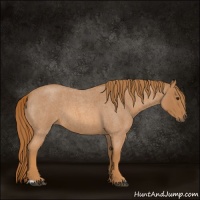 Horse Color:Red Roan 