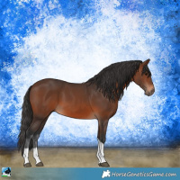 Horse Color:Brown Tobiano 