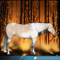 Horse Color:White Spotted Bay Dun Sabino
