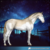 Horse Color:Smoky Black Pearl Splash 