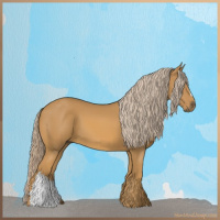 Horse Color:Palomino