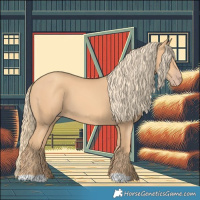 Horse Color:Gold Champagne 