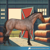Horse Color:Bay Roan 