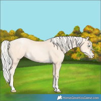 Horse Color:Silver Sable Cream Champagne Pearl 