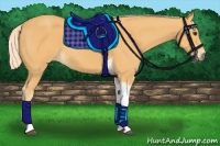 Horse Color:Palomino Tobiano 