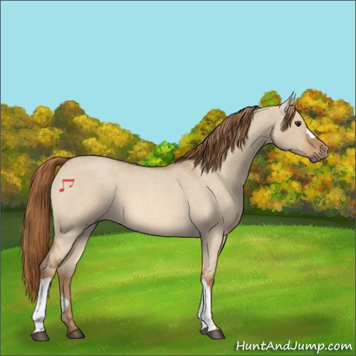 Horse Color:Red Dun Roan 