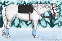 Horse Color:Silver Bay Dun Sabino Splash Tobiano Appaloosa Rabicano 