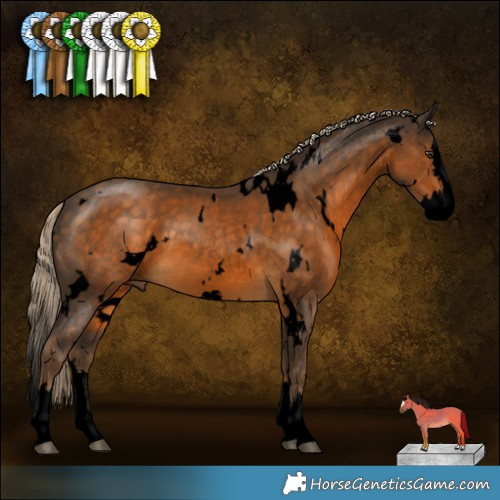 Horse Color:Void White Spotted Chocolate Palomino Splash 