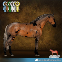Horse Color:Void White Spotted Chocolate Palomino Splash