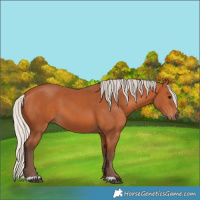 Horse Color:Silver Bay 