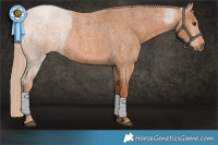 Horse Color:Red Roan 