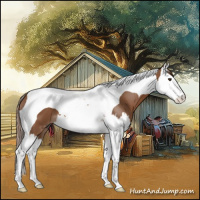 Horse Color:Chestnut Splash Tobiano