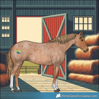 Horse Color:Red Roan Tobiano 
