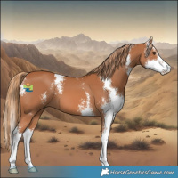 Horse Color:Chestnut Sabino 